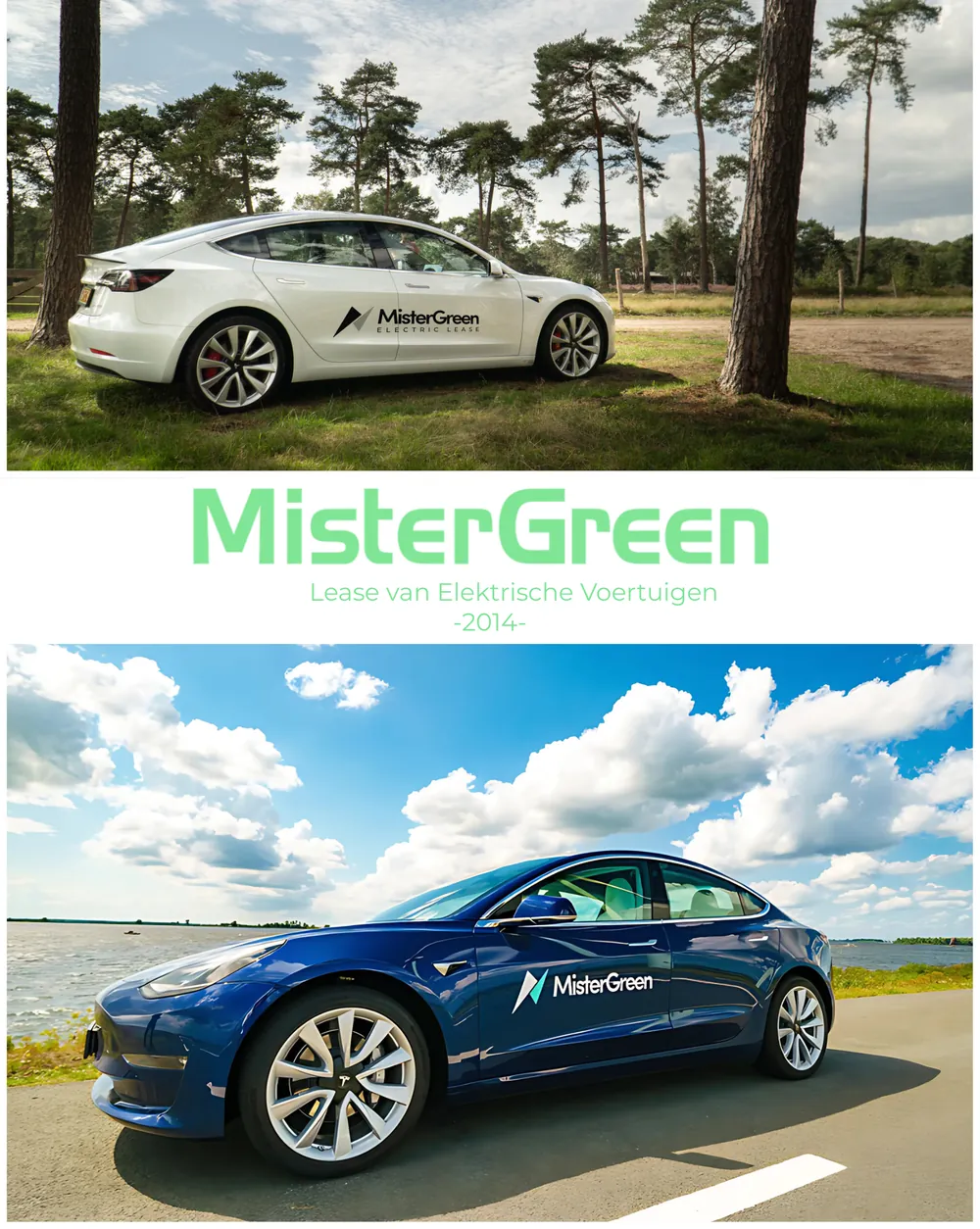 Poster van MisterGreen Electric Lease